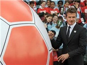 Bóng đá anh, ngoại hạng anh, lịch thi đấu euro 2012, Anh lỗ nặng vì "hụt" World Cup